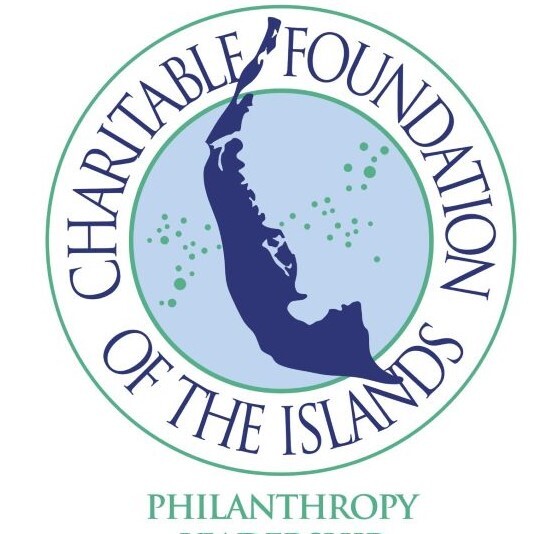 Non-Profit and Leadership Hub - Lynne Wester Education Seminar - logo